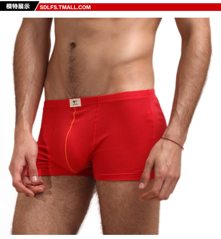 Sous-vêtement thermo jeunesse SEPTWOLVES simple en coton - Ref 751217 Image 35