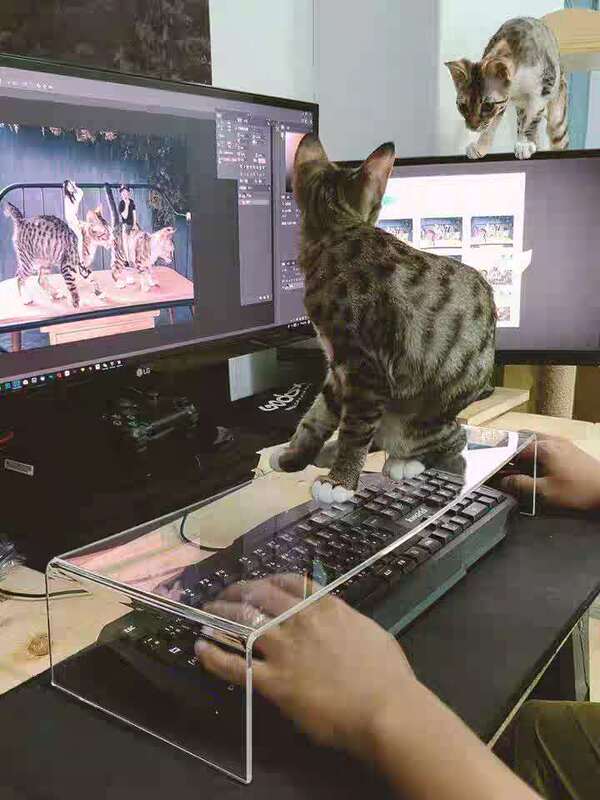 Anti-Cat Keyboard Cover, Transparent Dustproof Protective Cover, Multifunctional Cat Dining Table Keyboard Riser, Thick and Adjustable