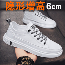 2022 Spring Autumn Season Tide Shoes Inner Heightening Board Shoes Male Korean Version Trend Students 100 Hitch Casual Little White Waterproof White Shoes