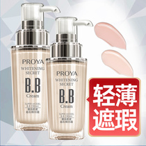 Perleja BB Créam Féminin hydratante hydratante persistante liquide en poudre ornée dun grand magasin phare officiel de teint clair