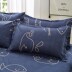 Rơi và mùa đông chà nhám dày vải denim chăn 1,5m 1.8m người chỉ là ba mảnh giường ký túc xá sinh viên 4 - Bộ đồ giường bốn mảnh gối mền 2 trong 1 Bộ đồ giường bốn mảnh