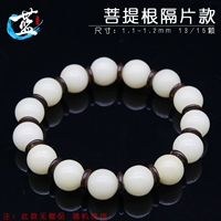 Bodhi Gen [Часть -время модель] Нет подарка