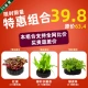 Dabo Dashu Special Commity-L01