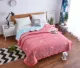 Pha lê nhung trải giường hai mặt nhung một mặt cotton cộng với nhung tấm chăn đơn ga trải giường cotton
