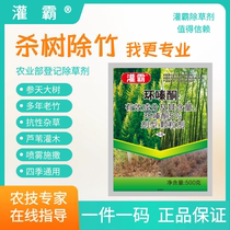 Killing of bamboo to kill trees Shrub butcher Bamboo Bamboo Miscellaneous Bamboo net rotten root Huaxing Ring Zine herbicides except tree agents