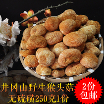 Monkey head mushroom farm homemade premium wild monkey head mushroom Jinggangshan specialty nutritional stomach monkey head mushroom 2 parts