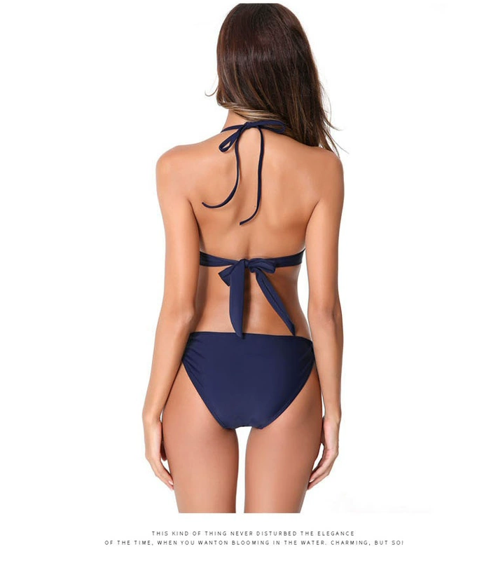 Mới bikini gió gợi cảm bikini ba điểm áo tắm ngực nữ tam giác đen Châu Âu và Mỹ suối nước nóng bikini - Bikinis