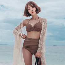 South Korean Triangle Bikini Sexy Ins Wind swimsuit Girl with small breasted steel Toy to gather high waist cover with slim swimsuit