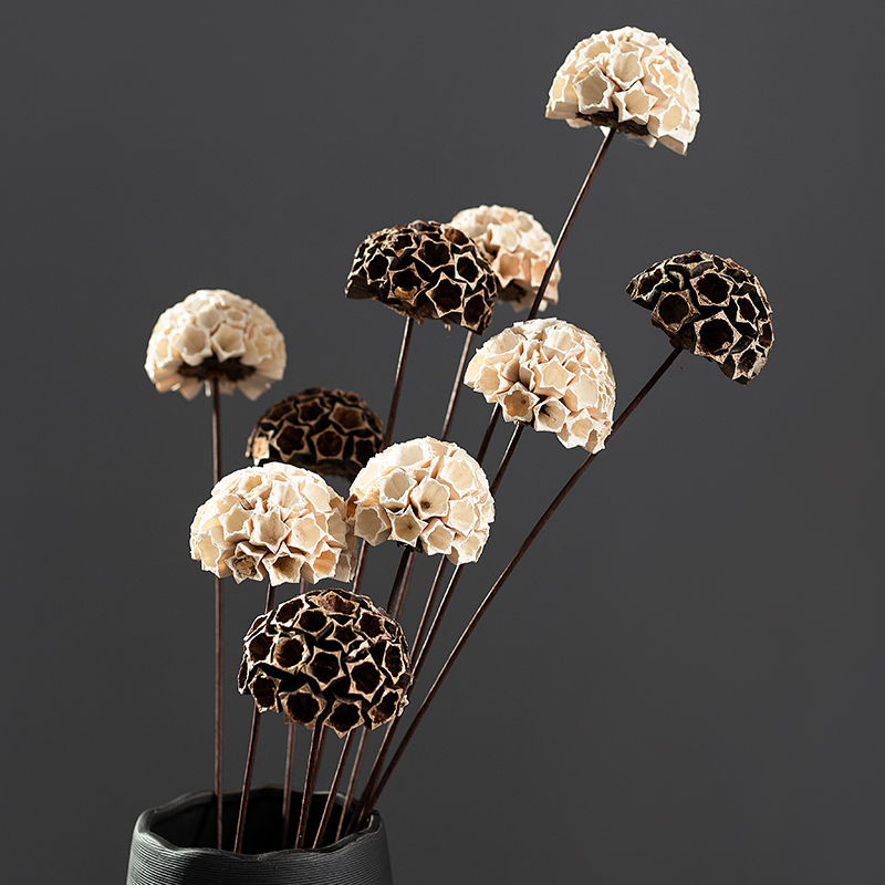 Single fog wind chime dry flower arrangement decoration set living room home real flower decoration art shooting props decoration