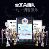 凌度 Аудио -усилитель автомобиля DSP 4th Road 31 сегмент 12 В неэтруктивные модифицированные аудиопроцессор с высокой мощностью