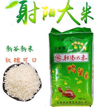 2022 new rice Jiangsu authentic Yancheng Sheyang farm japonica rice 50 catties crab field rice 25 kg edible
