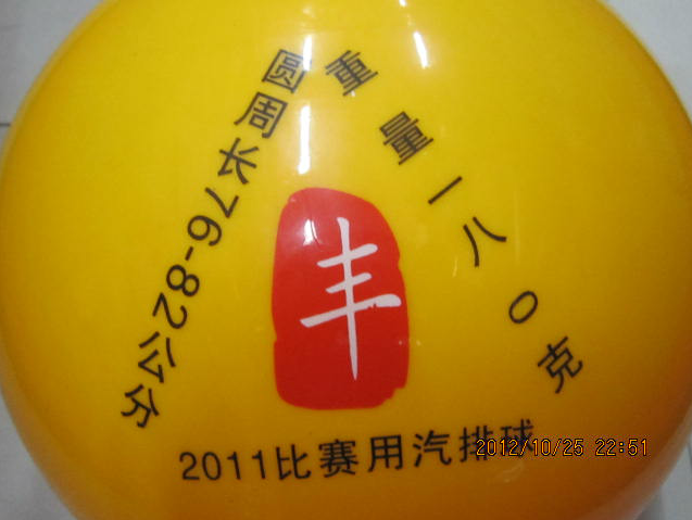 Ballon de volley - Ref 2012058 Image 11