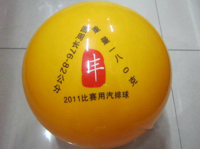 Ballon de volley - Ref 2012058 Image 10
