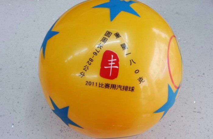Ballon de volley-ball - Ref 2012108 Image 5