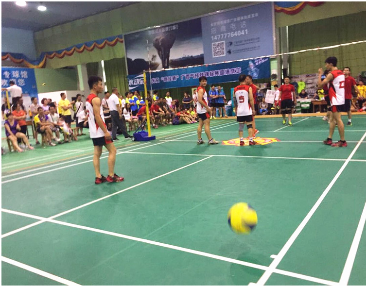 Ballon de volley - Ref 2012496 Image 9