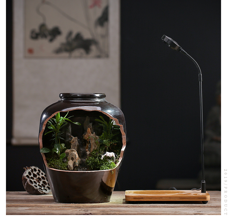 By sumeru world creative ceramic tank micro potted landscape water, tea pet Chinese zen furnishing articles