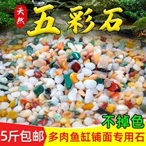 Fish tank bottom sand build-up sand decoration pendulum piece package stone sub-rain flower stone paving bottom color stone Sub-fish tank bottom gravel