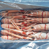 Shrimp 1 case 1 kg of sashimi class 1-5 National