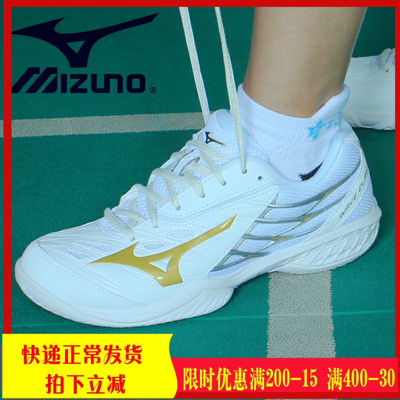 mizuno professional