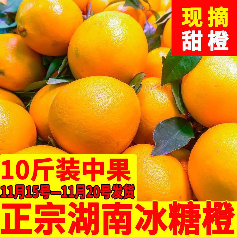 预售 崀山 湖南麻阳冰糖橙 橙子 10斤 天猫优惠券折后￥24.9包邮（￥29.9-5）