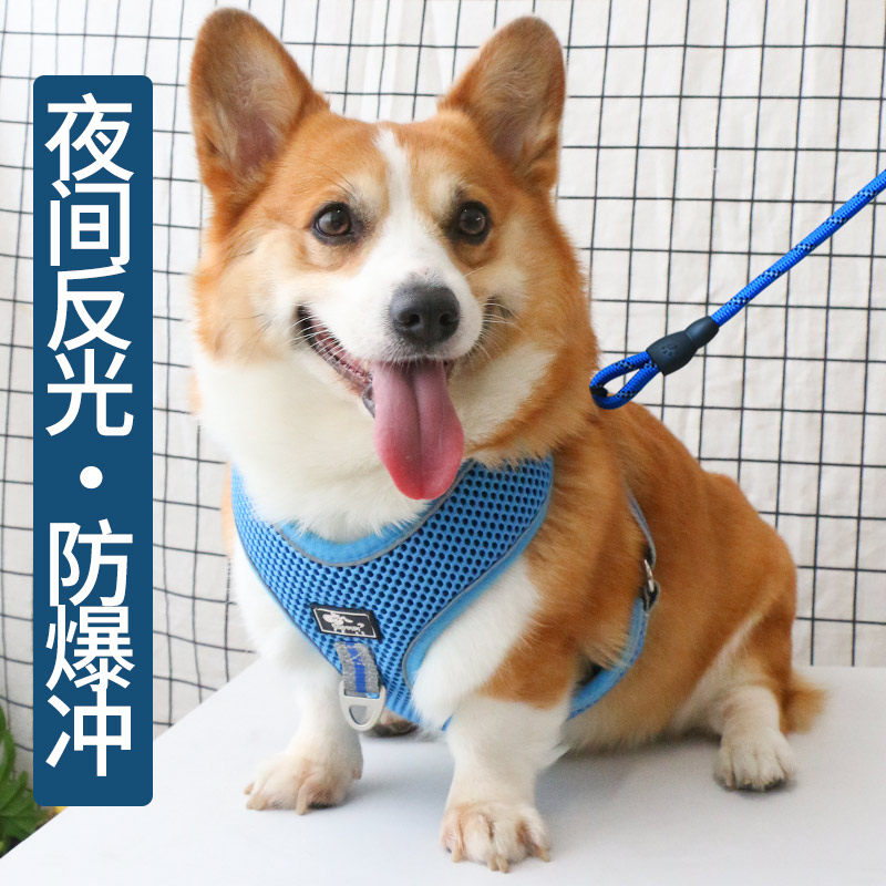 Dog traction rope Explosion-proof Chest Holding Baby Bag Vest Style Walking Dog Rope Small Dog Holding Baby Bag For Walking Dog Pet Supplies