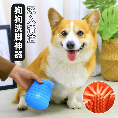 Домашние собаки мыть ноги чашки, артефакты мыть