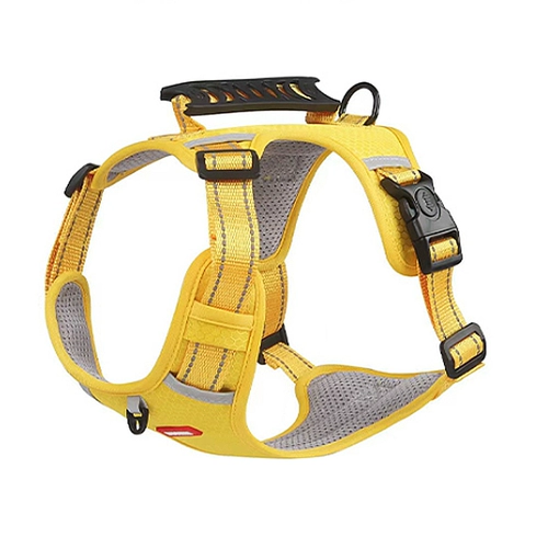 Петутная грудь детская сумка для собак, ходячие поводки поводки