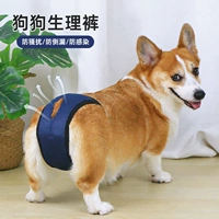 Физиологические штаны для домашних животных.