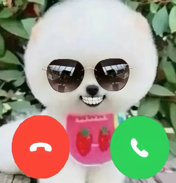 友人や親友へのいたずらギフトとして、犬をモチーフにした電子ティーカップを注文してみてはいかがでしょうか。
