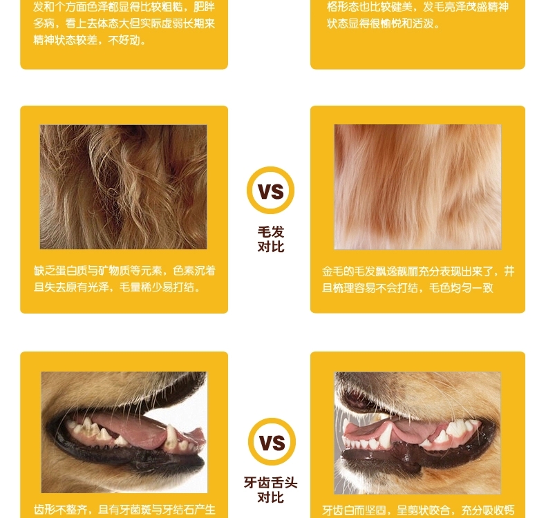 Thức ăn cho chó lớn hơn nhân dân tệ ngon thức ăn cho chó ăn thức ăn cho chó thức ăn cho gan và thịt chó thực phẩm chính 10kg20 kg hạt chó