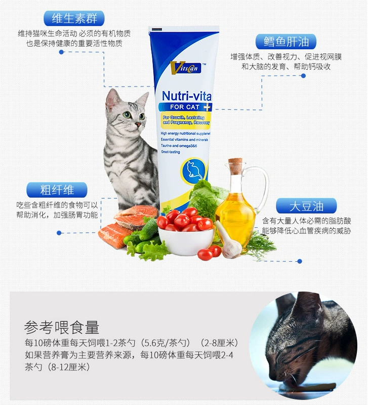 Kem dinh dưỡng Viscon 120g Pet Cat Bổ sung tốc độ Kem dinh dưỡng toàn diện Mang thai cho nữ Cat Cat Cat - Cat / Dog Health bổ sung