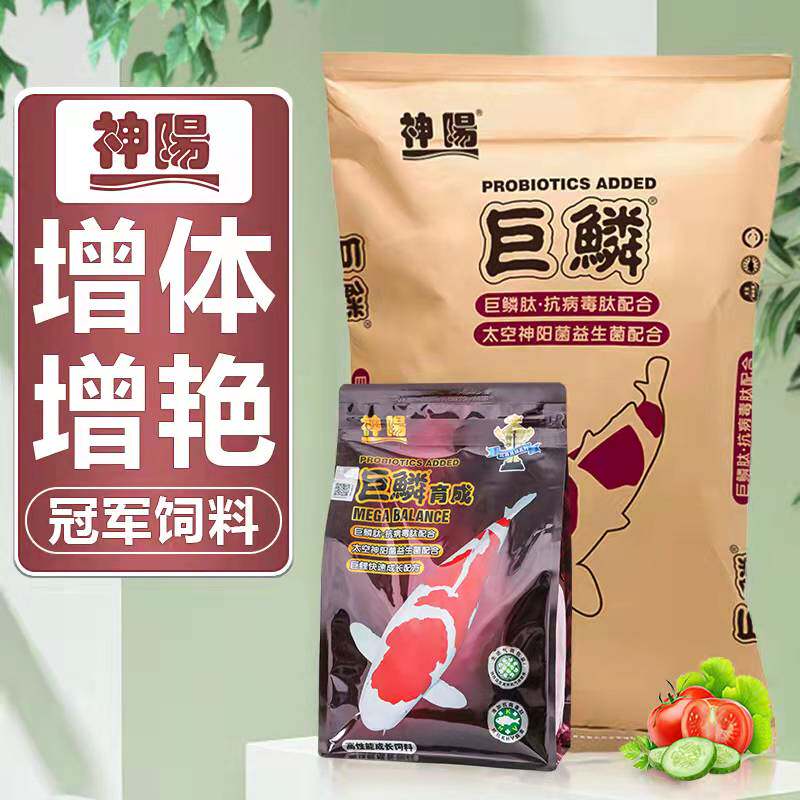 (Shenyang official) Shenyang giant scale brocade carp feed stage fish food large grain to raise body fish grain