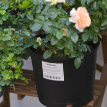 Warm Peninsula Gallen Basin 5 gallons 7 gallons large capacity rose Green anti-rotten root function flowerpot simple green plant