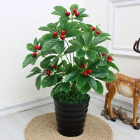 70 см 18 листовок и фруктов+горшки+трава