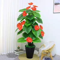 1,4 мили Сянген Красная пальма+горшок+трава