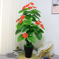 1.6м, на удачу