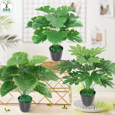 Fortune tree potted small bonsai plastic flower Interior decoration tree floor fake flower simulation plant living room desktop decoration
