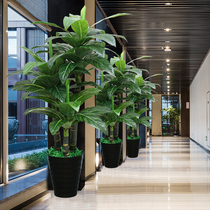 Simulation Plant Potted Plant Pendulum Piece Living Room Fake Flowers Green Plant Large Drip Guanyin Fake Tree Emulation Tree Decoration Hair Treasure Tree