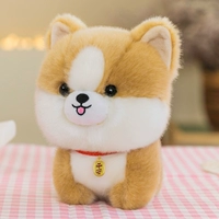 Корги