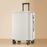 Shell White/Trend Model