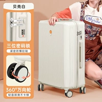 Shell White/Fashion Model