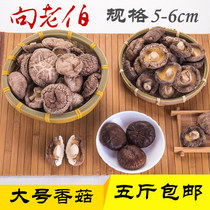 To The Old Man farmers house shiitake mushrooms large mushrooms mushrooms household dried large mushrooms special products 500g