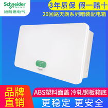 Schneider Tianlang white TLA20B strong electric box concealed 20-circuit empty open leakage protection box household electric box distribution box