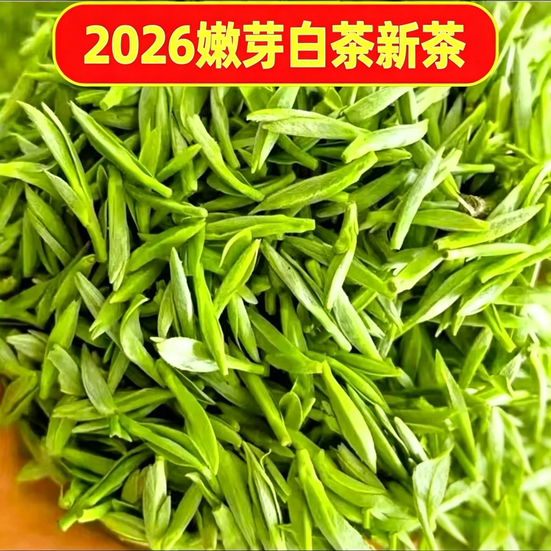 2026 New Tea Anji White Tea Pre-Qingming Authentic Premium White Tea Tender Spring Tea Leaves Gift Box for Personal Consumption