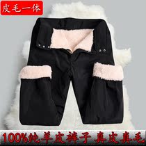 Winter wool pants men fur middle-aged plus velvet thickening outer wear trousers female high-waisted cold warm pants