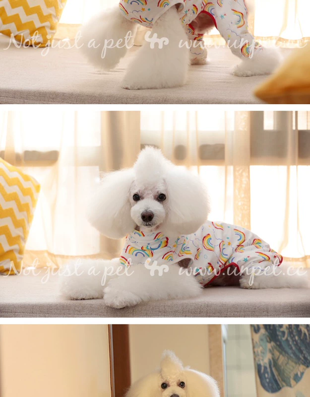 UNPET Breguet Dog Dress Rainbow Rainbow Bộ đồ ngủ bốn mảnh xếp chồng áo tank top - Quần áo & phụ kiện thú cưng