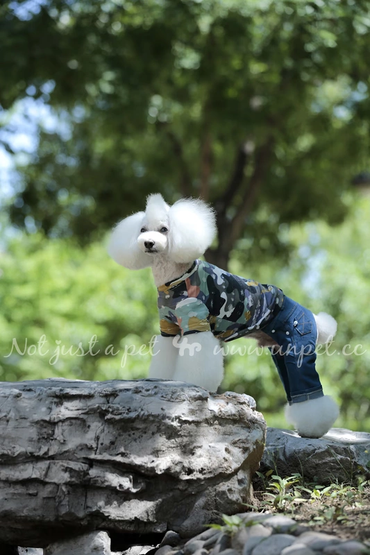 UNPET Breguet Pet Dog Dress Summer Dress Casual Teddy Bear Bear Ngụy trang Áo thun thể thao ngắn tay - Quần áo & phụ kiện thú cưng quần áo cho chó phốc sóc