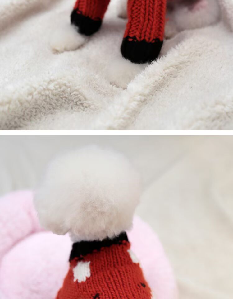 UNPET Breguet Quần áo cho thú cưng Little Princes Fox Sweater Quần áo làm bằng tay dễ thương tuyệt đẹp - Quần áo & phụ kiện thú cưng áo poodle