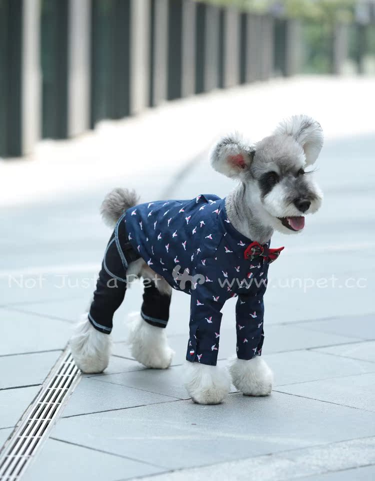 UNPET Breguet Pet Quần áo Teddy Schnauzer Wild England Áo dài tay Bird Cotton Royal Blue Shirt - Quần áo & phụ kiện thú cưng quần áo cho chó con