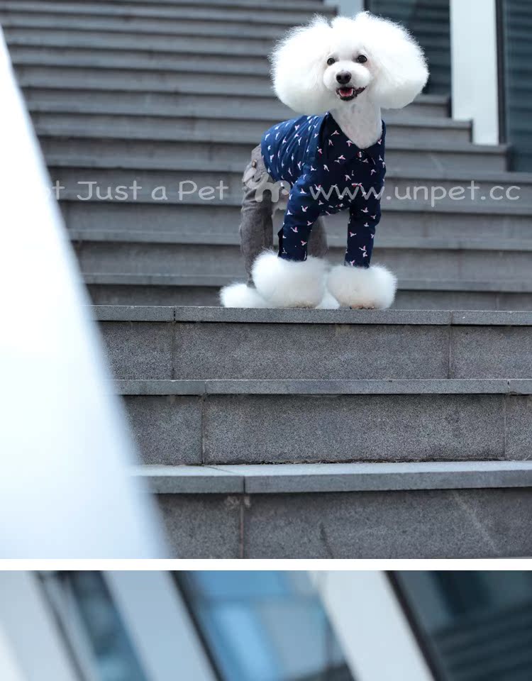 UNPET Breguet Pet Quần áo Teddy Schnauzer Wild England Áo dài tay Bird Cotton Royal Blue Shirt - Quần áo & phụ kiện thú cưng quần áo cho chó con